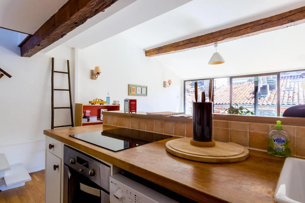 Loft 9 Rue Fermat Apartamento Toulouse França